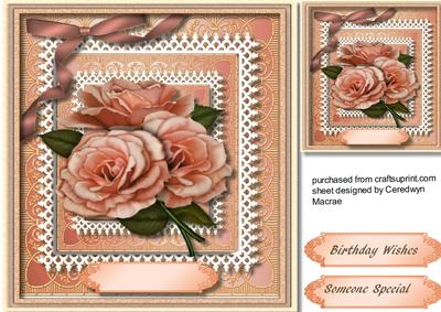 Beautiful Soft Pink Roses on a Double Lace Frame 