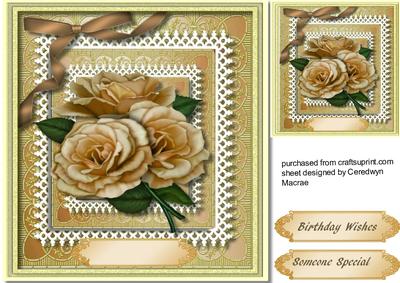 Beautiful Buff Roses on a Double Lace Frame , 