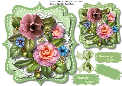 Beautiful Cammelias for Any Occasion
