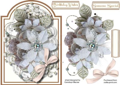 Beautiful Jeweled Star Flower 