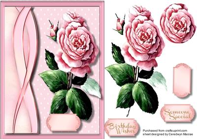 Pink Rose for Somome Special