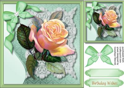 8x8 Beautiful Peach Rose on Eucra Lace .