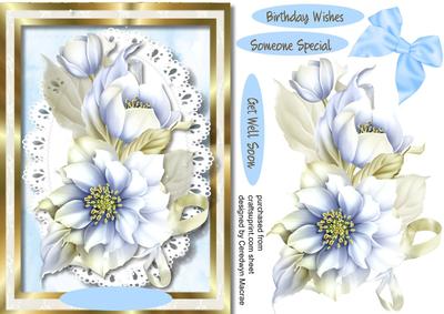Lovely Blue and Cream Hellebore 