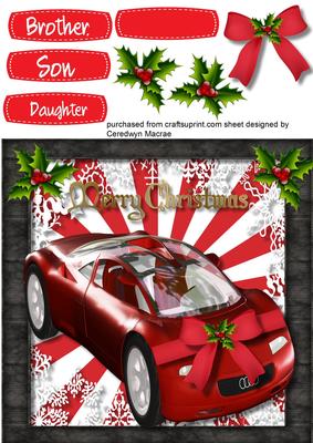 Lovely Dream Car for Christmas