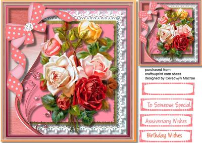 Beautiful Roses and Lace Frame 