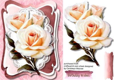 Lovely Cream Roses Ohn Oval Lace 