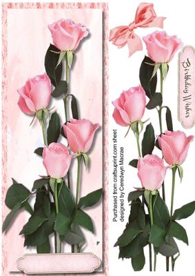 Locely D.l with Pink Rose Buds 
