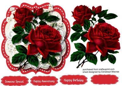 Red Roses for Someone Special