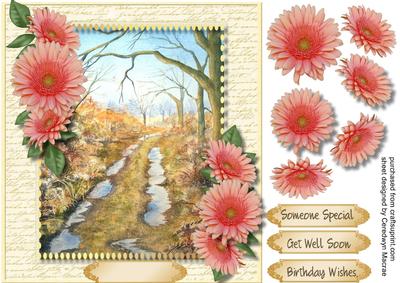 Country Lane and Gerberas 