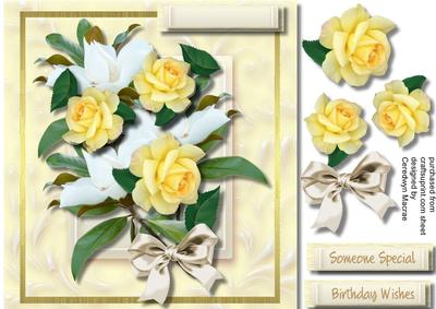 Beautiful Roses and Magnolias 