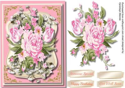 Lovely Roses for Any Occasion 