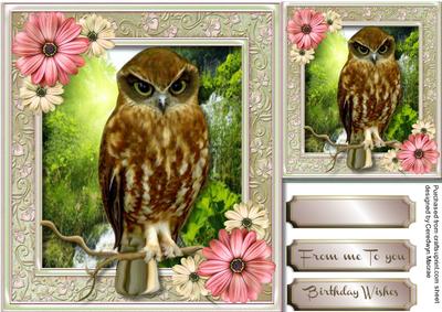 Beautiful Owl on a Branch 