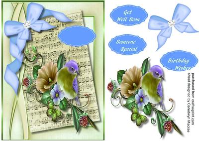 Lovely Bird on Sheet Music 
