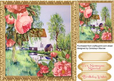 Beautiful Roses at Packenham Mill