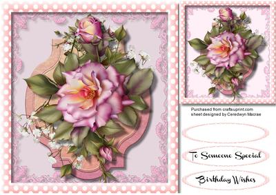 Beautiful Pink Roses on Filigree Lace 