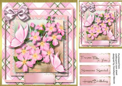 Pink Blossom and Butterfly's .