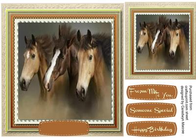 Stunning Horses in a Stitched Frame 