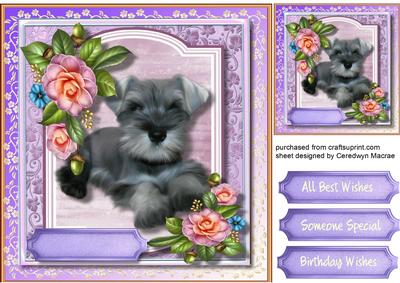 Beautiful Schnauzer and Camellias 