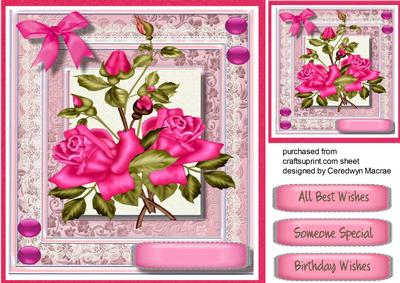 Lovely Hot Pink Roses for Love .