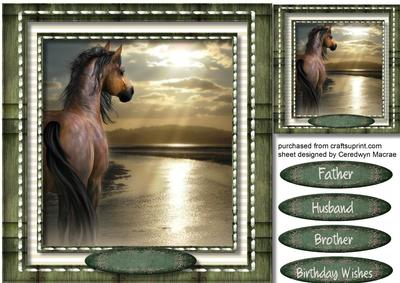 Stallion at the Watres Edge 