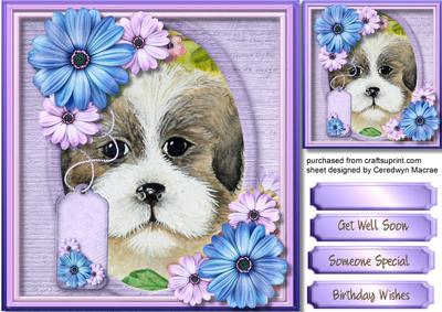 Lovely Dog in a Oval Frame 