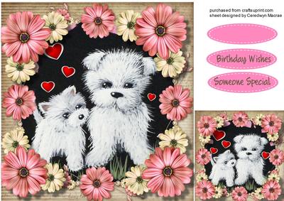 Beautiful Wesiies and Daisy's 