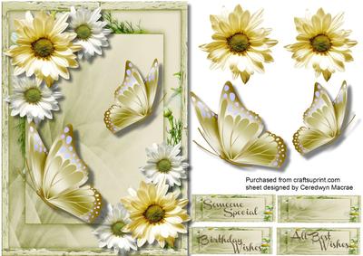 Beautiful. Meadow Scene and Butterflys