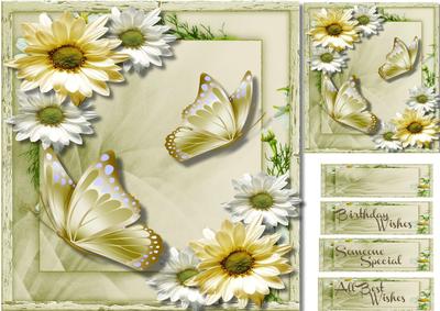 Beautiful Meadow Flowesr and Daisy's