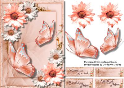 A5 Peach Meadow Floers and Butterfly's