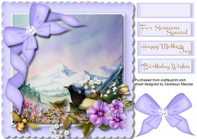 Lovely Bird on a Lilac Scalloed Frame