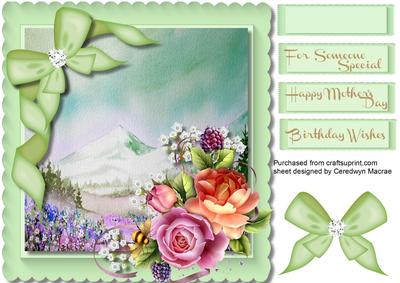 English Roses on a Scalloped Frame 