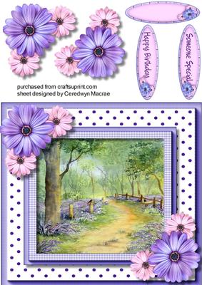 A Stroll in Bluebell Woods