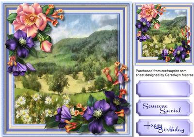 Beautiful Meadow and Flowers 