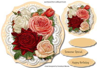 Beautiful Roses in a Stitched Frame 