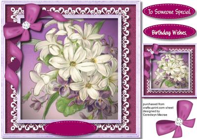 Violet's and Blossom on Cut Out Lace 