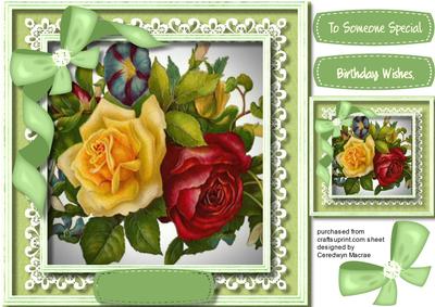 Beautiful Red and Yellow Rose on Cut Out Lace 