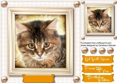 Lovely Tabby Kitty on a Beige Board 