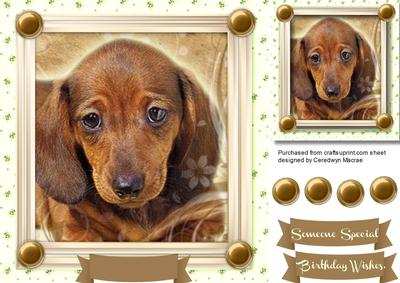 Lovely Dachund in a Gold Frame