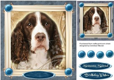 Lovely Spaniel in a Gold Frame 