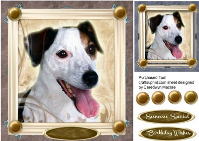 Lovely Jack Russel in a Gold Frame 