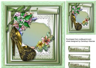 Beautiful Shoe on Flower Lace 