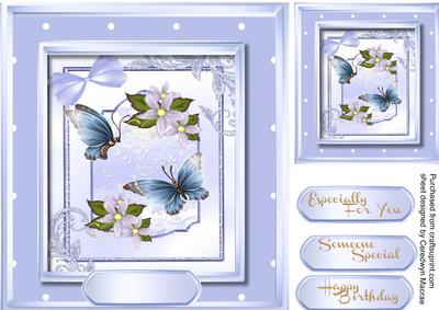 Butterfly's and Flowers 