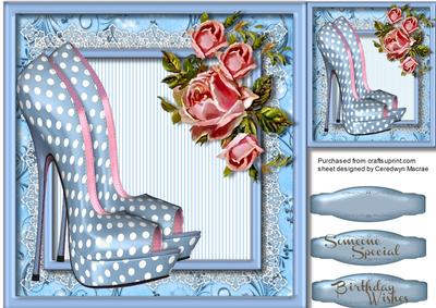 Lovely Polka Dot Shoes and Pink Roses 