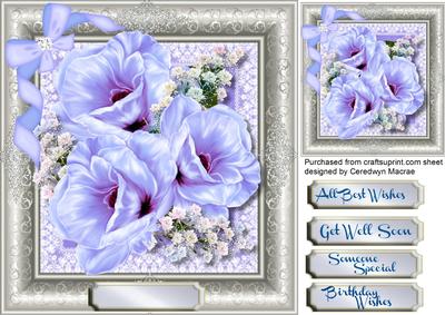 Stunning Lilac Blossom in a Silver Frame