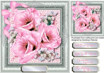 Stunning Pink Blosssom in a Silver Frame 