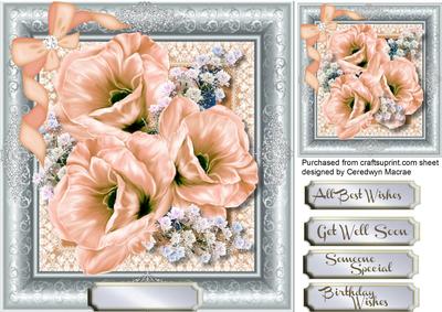 Stunning Peach Blosssom in a Silver Frame 