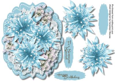 Beautiful Blue Star Flowers and Blossoms 