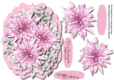 Beautiful Pink Star Flowers and Blossoms 