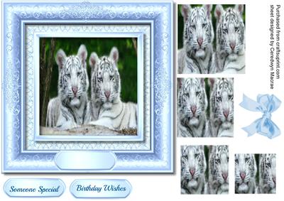Beautiful White Tigers in a Blue Frame , Pyramid 
