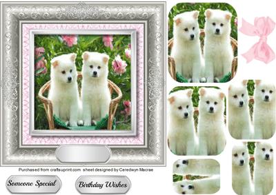 Two Beautiful Samoyed Pups in a Silver Frame ,pyramid